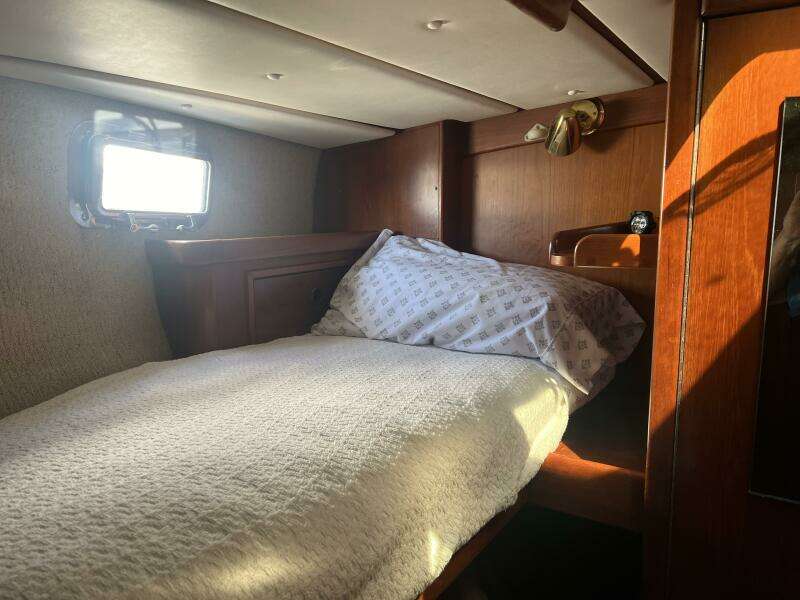 1984 Contest Conyplex - Contest