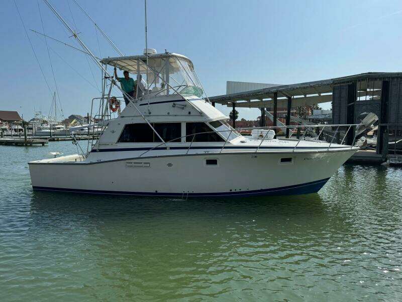 1983 Bertram 385 Convertible- Cast Off II-STBD 2