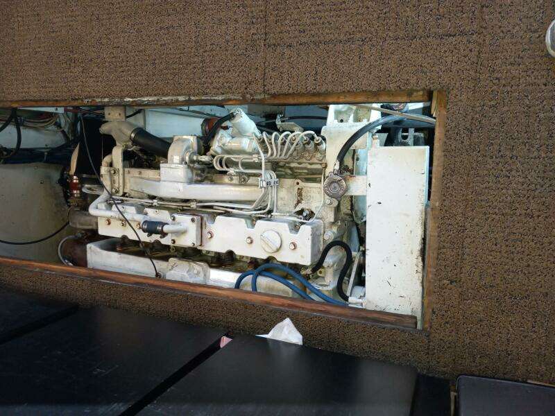 1983 Bertram 385 Convertible Cast Off II