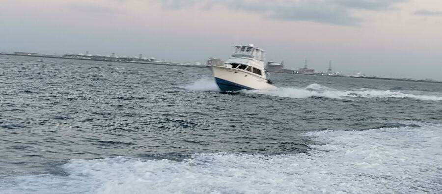 1983 Bertram 385 Convertible Cast Off II