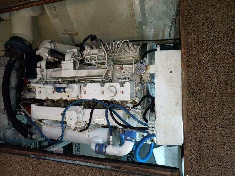 1983 Bertram 385 Convertible Cast Off II