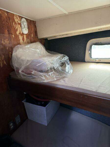 1983 Bertram 385 Convertible Cast Off II