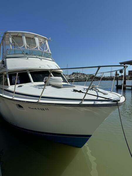 1983 Bertram 385 Convertible Cast Off II