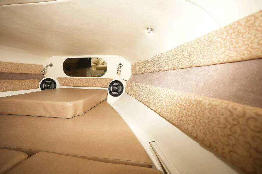 2016 Stingray 225 CR