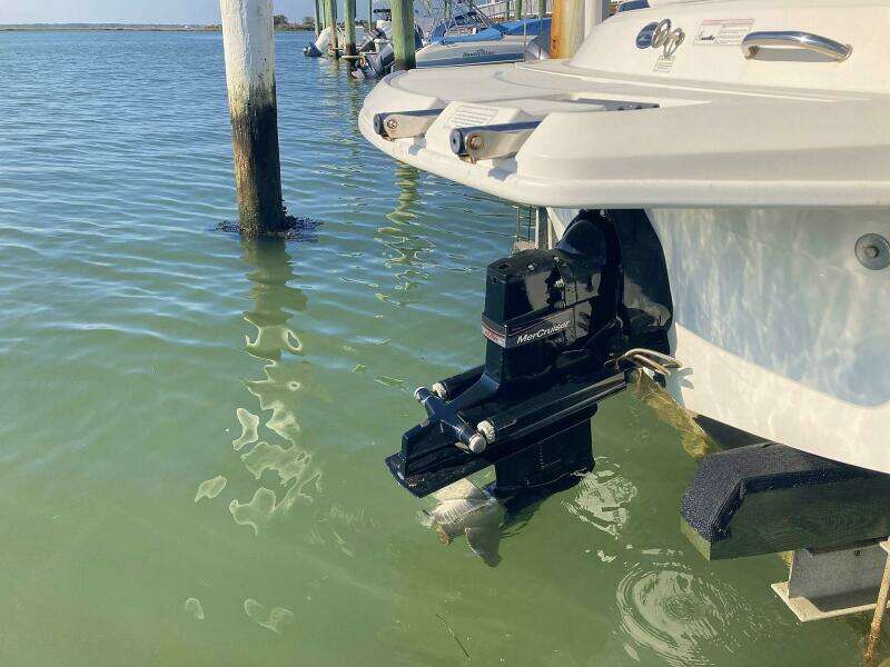 2012 Sea Ray 190 Sport