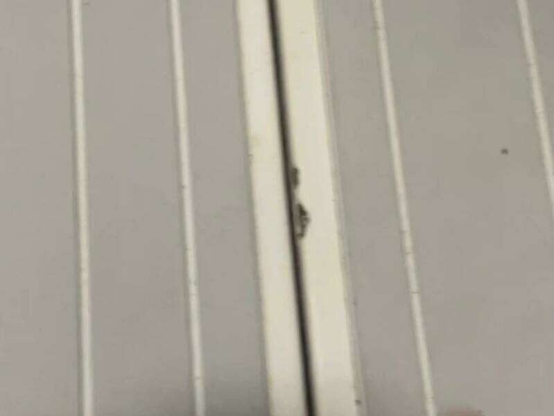 1990 Wellcraft Scarab 30 Cuddy