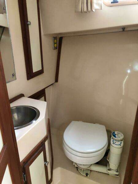 1990 Shannon Brendan 28