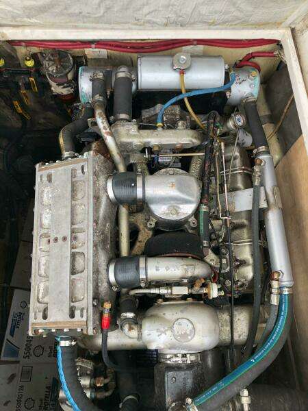 1990 Shannon Brendan 28