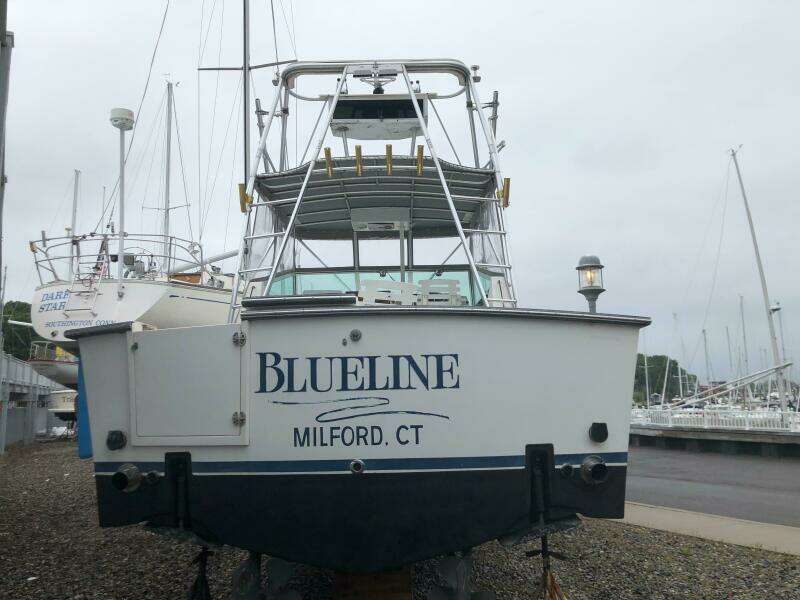 1990 Shannon Brendan 28