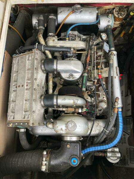 1990 Shannon Brendan 28