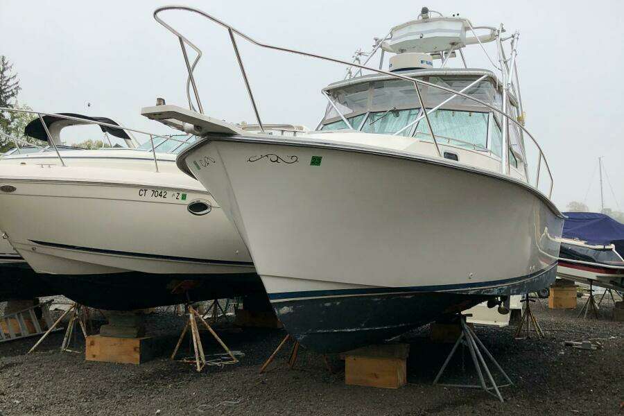 1990 Shannon Brendan 28