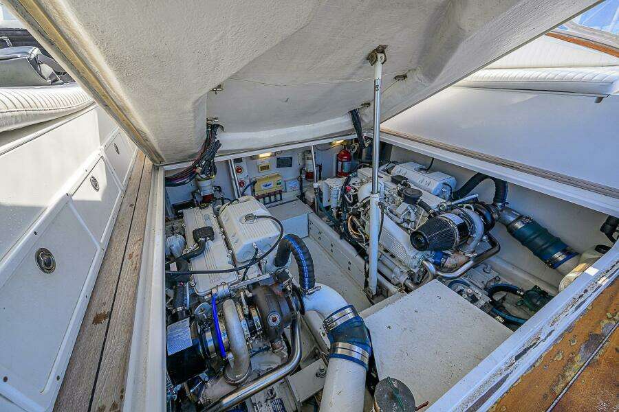 2008 Jersey Cape Devil 36