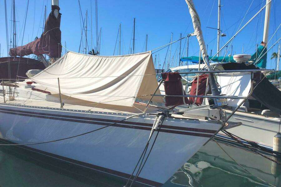 1983 Morgan Nelson Marek 45-4