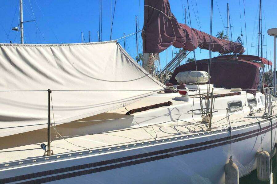 1983 Morgan Nelson Marek 45-4