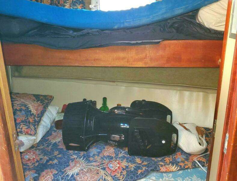 1979 Bertram 38 Convertible Sportfisher