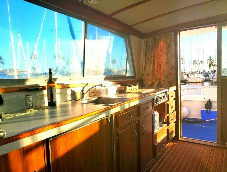 1979 Bertram 38 Convertible Sportfisher