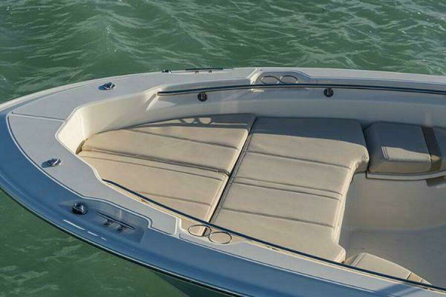 2023 Boston Whaler 250 Dauntless
