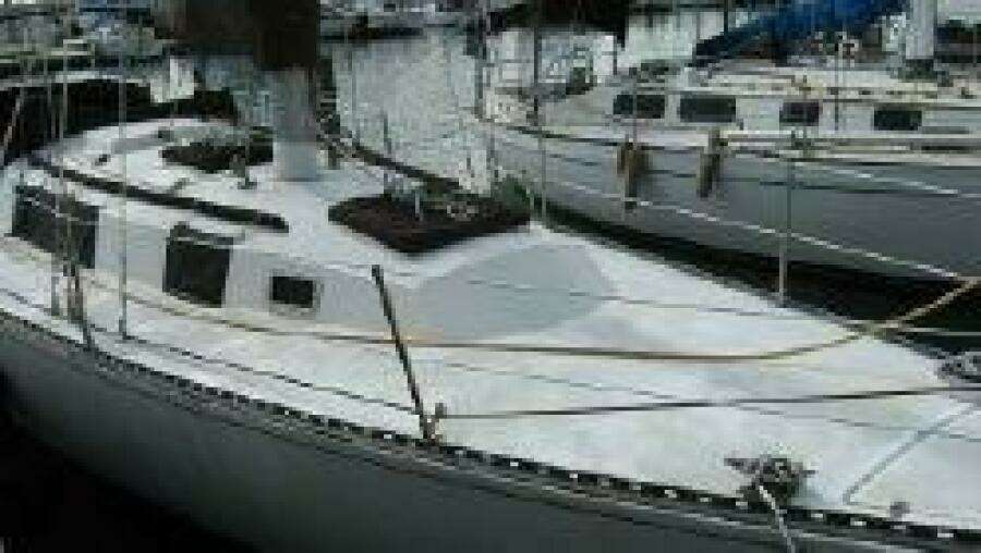 1981 Newport C and C Sloop