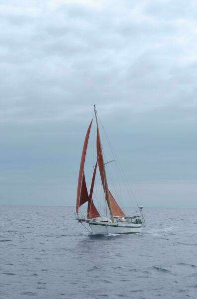 1982 Custom Tahiti Rover Steel Auxiliary Cutter