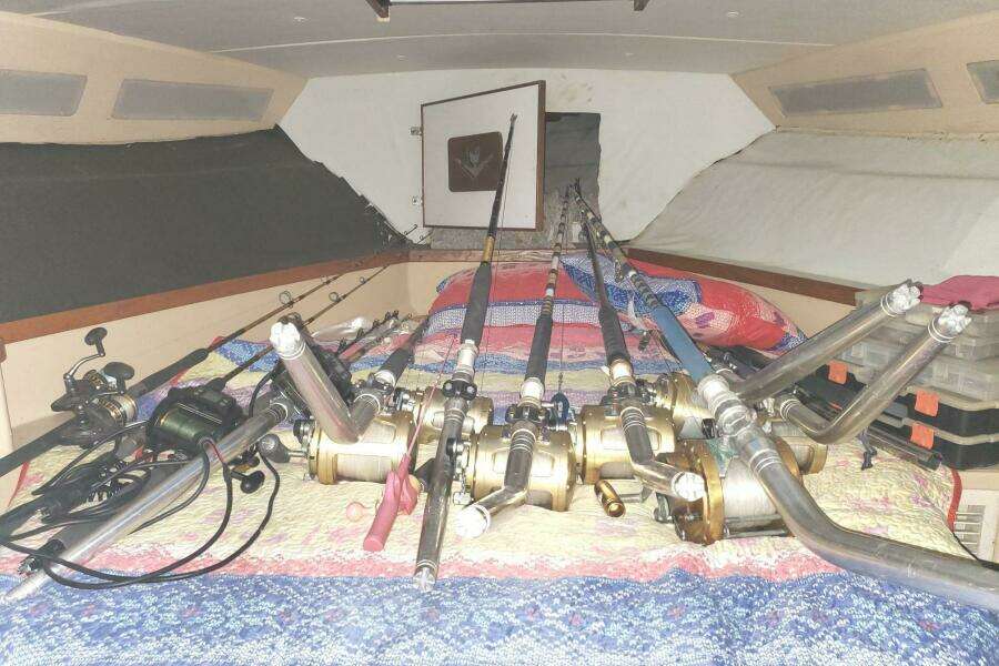 1988 Bertram 37 Convertible