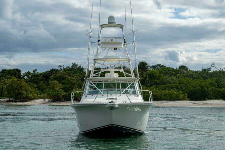 Albemarle 36 Sore Subject Profile