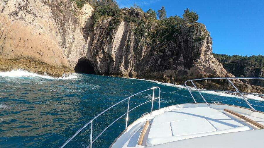 2025 Marex 330 Scandinavia