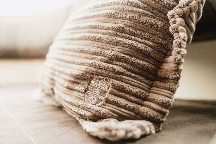 2025 Marex 330 Scandinavia