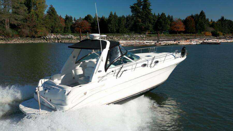 2001 Sea Ray 