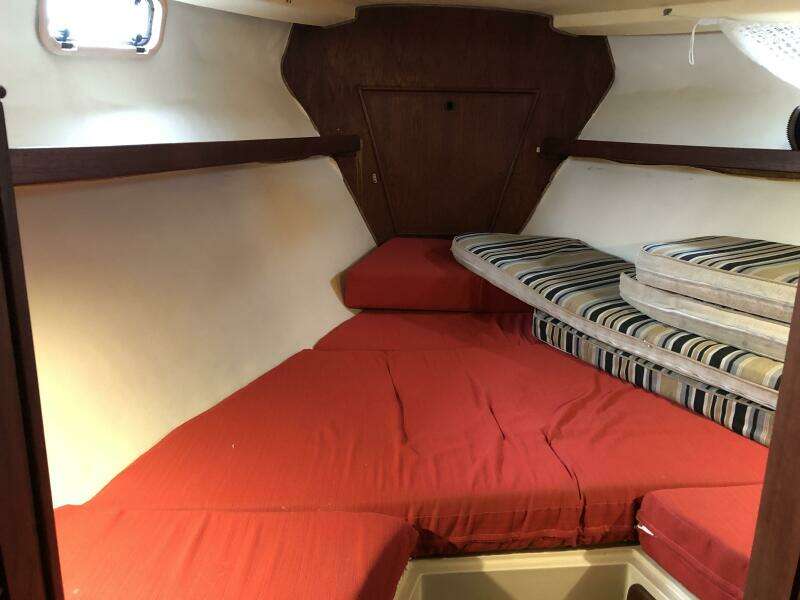 1988 Catalina Morgan Classic 41