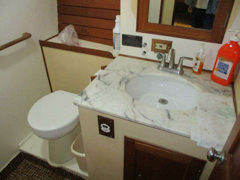 1982 Kong & Halvorsen 51