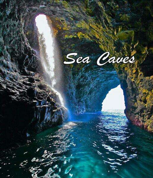 2001 Zodiac Milpro 920