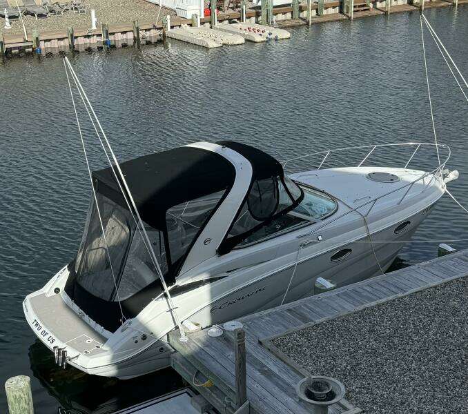 Arial View Campr Top