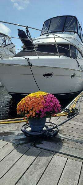 2003 Carver 360 Sport Sedan