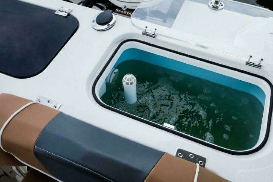 2025 Wellcraft 302 Fisherman