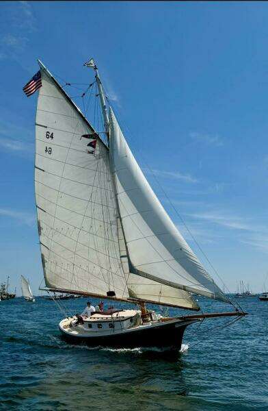 Amicitia under sail