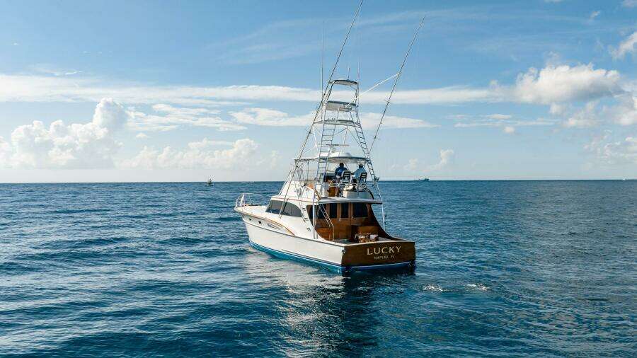 1983 Rybovich 55 Convertible