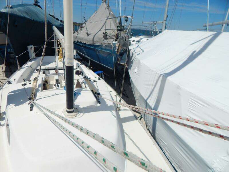 2008 e Sailing Yachts E33