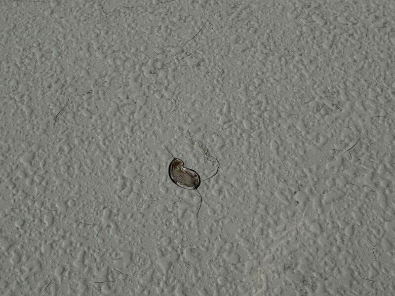 1994 Chaparral Signature 27 Cabin Cruiser