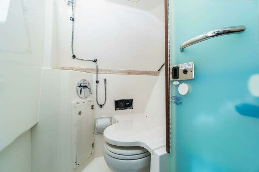 Pursuit 365 MISS MORGAN III - Head