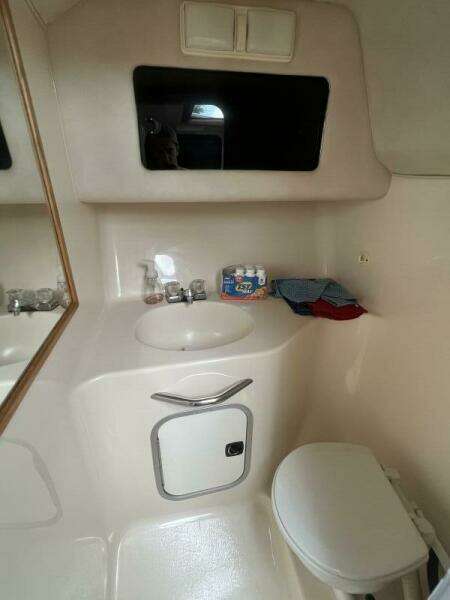 1993 Sea Ray 310 Amberjack