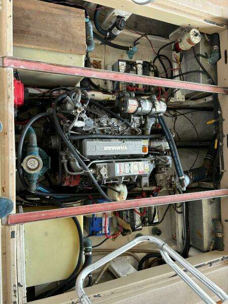 1988 Ellis Down East