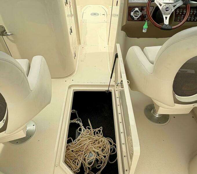 2010 Sea Ray 260 Sundeck