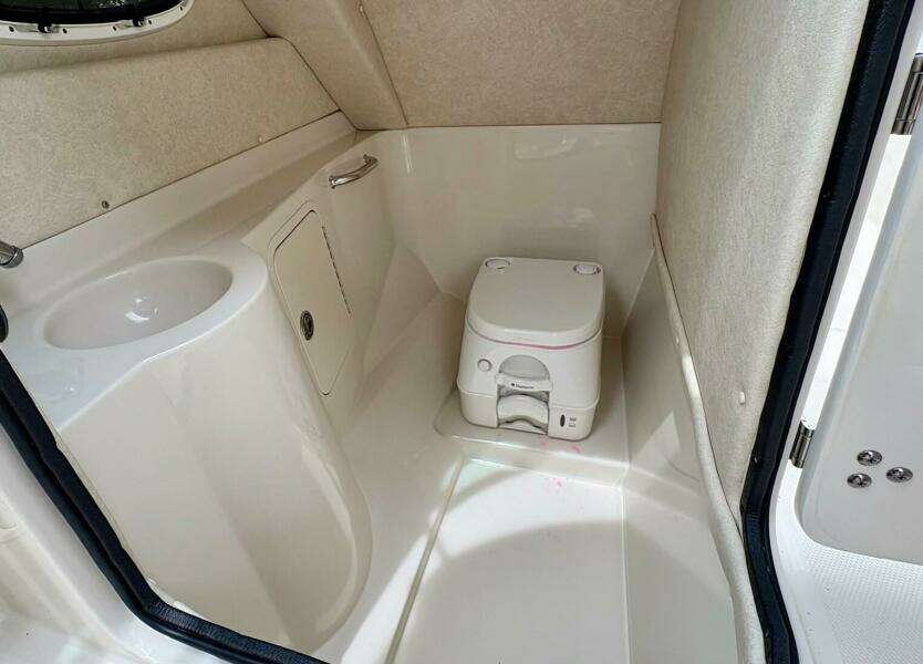 2010 Sea Ray 260 Sundeck