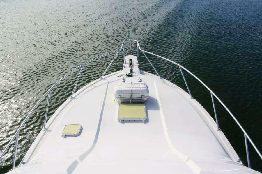 Bertram 39 Lineage- Bow