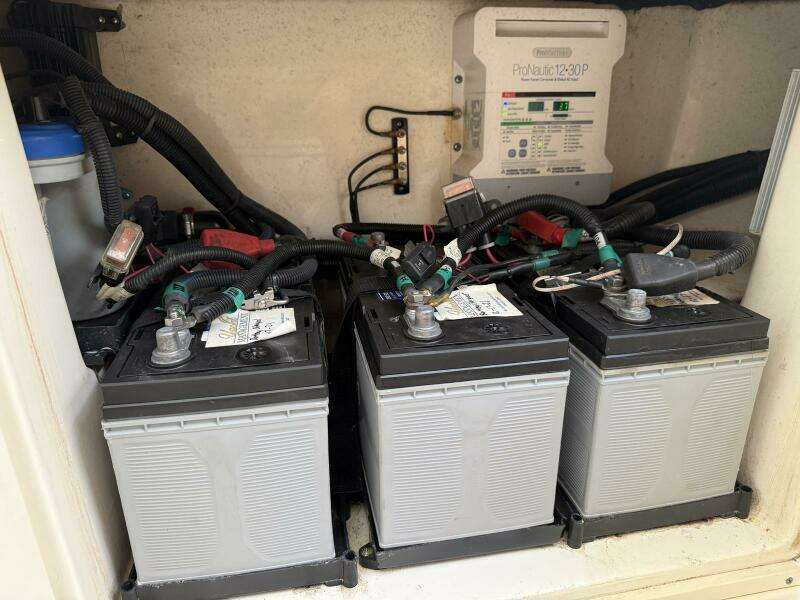 Batteries and Battery Charger