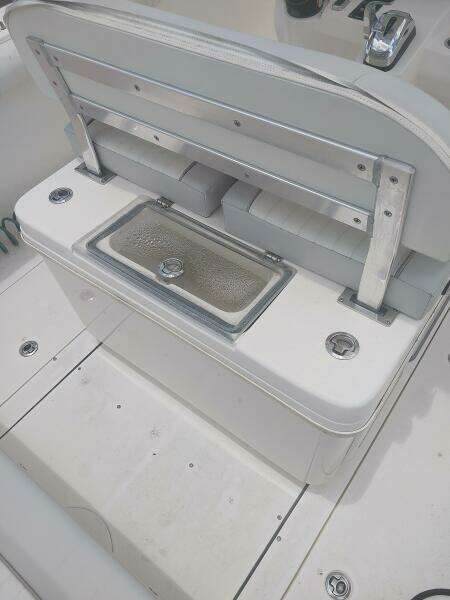 2019 Sea Born SX239 offshore