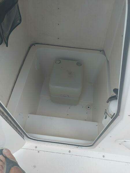 2019 Sea Born SX239 offshore