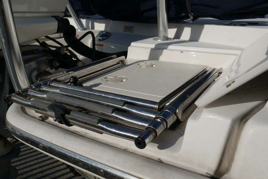 Boston Whaler 31 - CHUCK - Swim Ladder