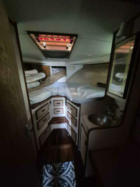 1982 Bertram 38 Convertible