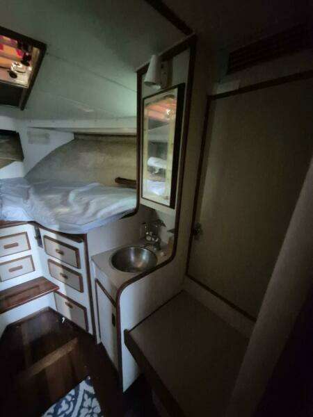 1982 Bertram 38 Convertible